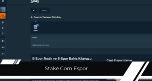 Stake.Com Espor